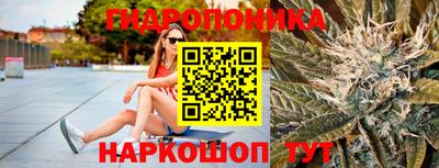молекула духа Славгород