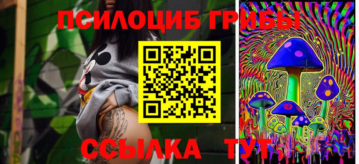 Саянск  Галлюциногенные грибы мицелий  Псилоцибиновые грибы мухоморы  Вход с VPN 