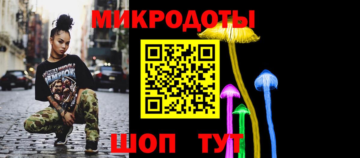 Галлюциногенные грибы Psilocybe Саянск